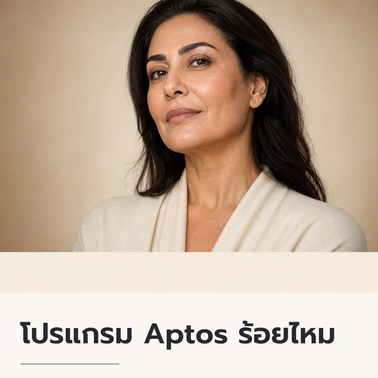 โปรแกรม Aptos ร้อยไหม